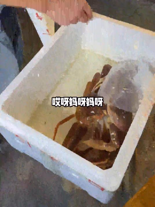 这小情侣呢！#真实生活记录#