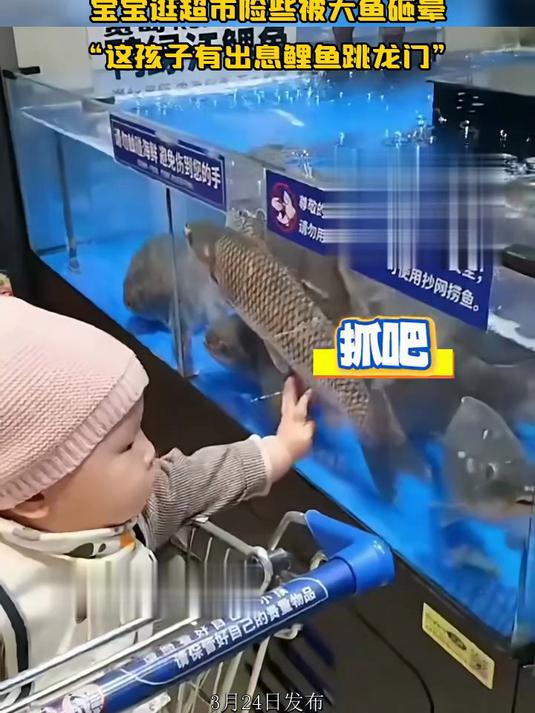 宝宝逛超市险些被大鱼砸晕,“这孩子有出息鲤鱼跳龙门”