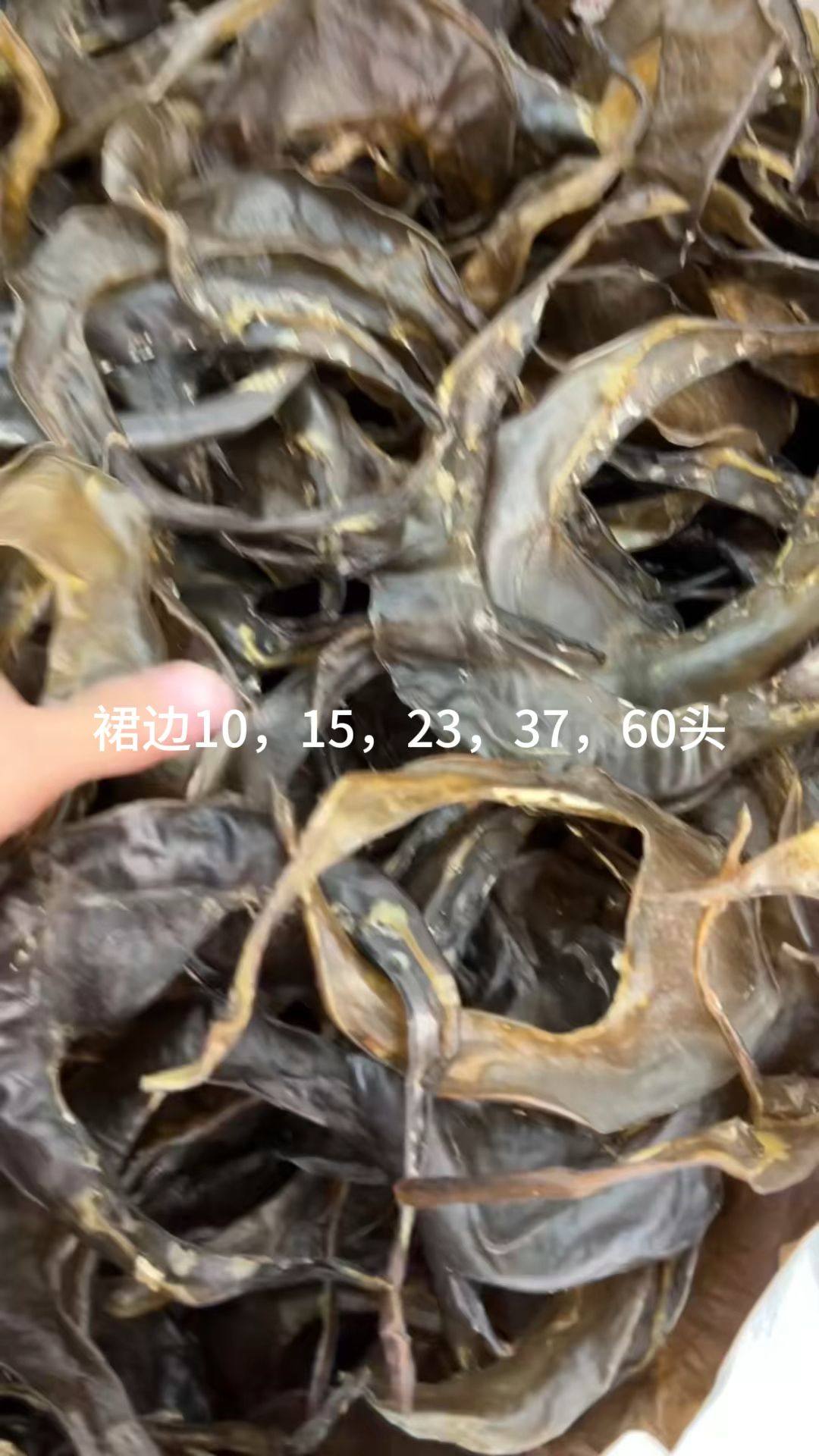 裙边,足干红鱼胶,珍珠胶,咸水筒,阴阳条,小土鳘,安南