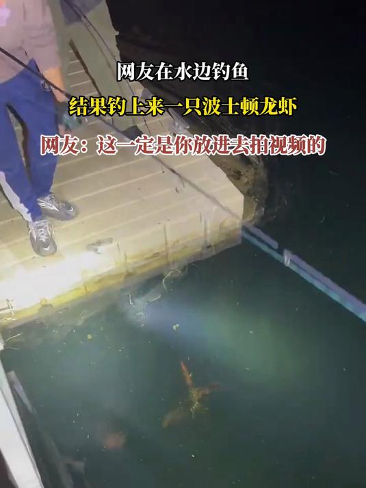 网友在水边钓鱼,结果钓上来一只波士顿龙虾