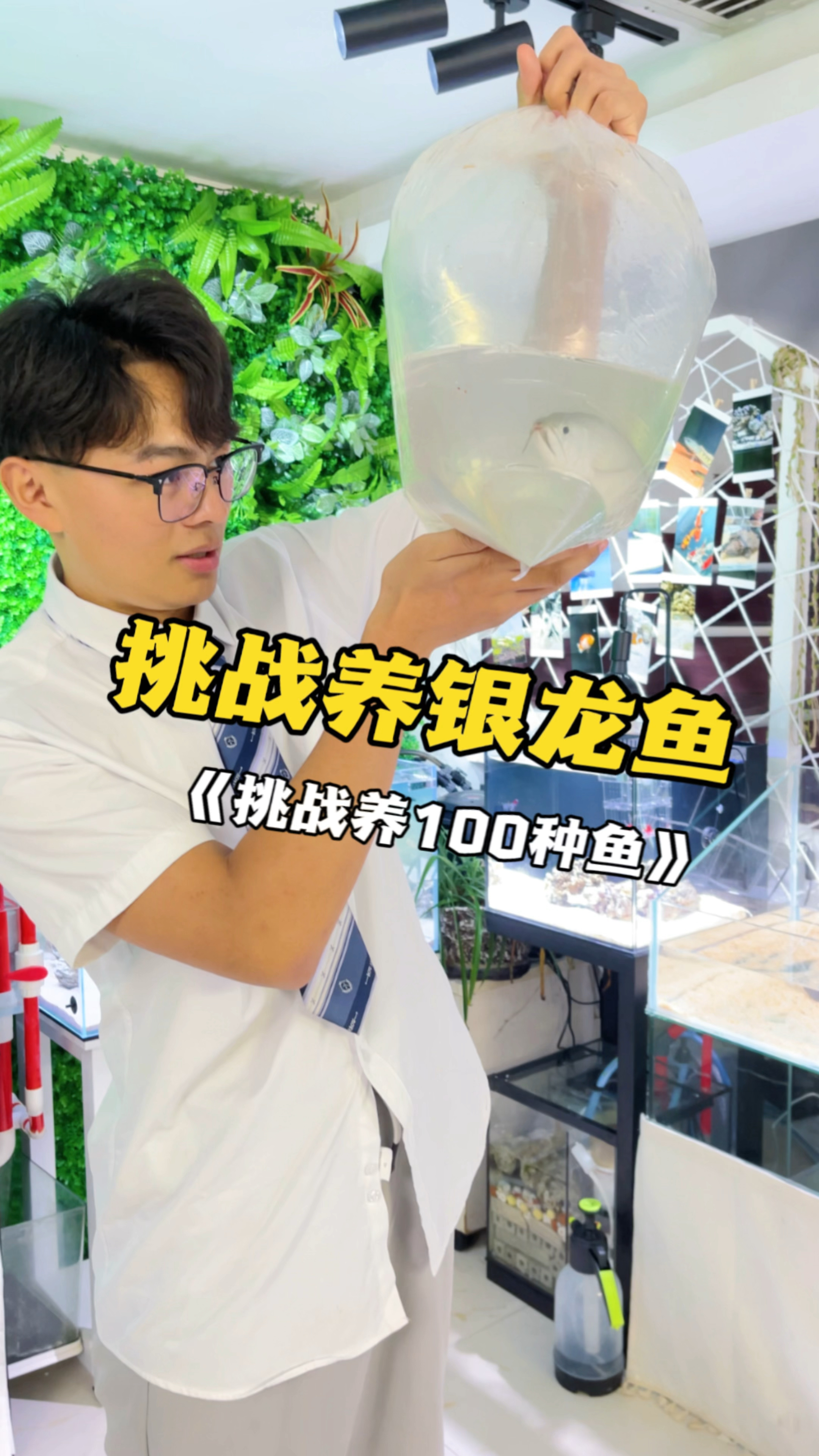 银龙鱼终于到货啦,到处乱跳