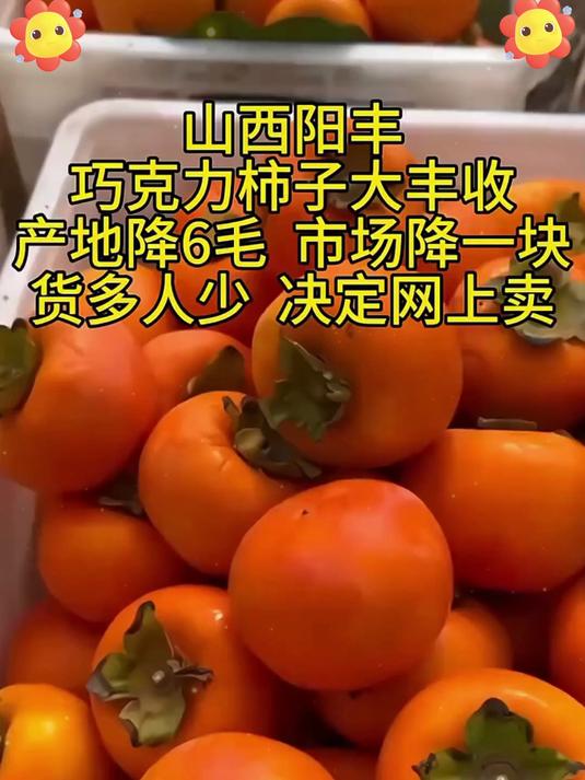当季现摘！脆柿子从果园直送到家，果皮薄果肉厚，新鲜看得见