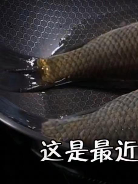 今天给大家分享一个鲫鱼汤的做法