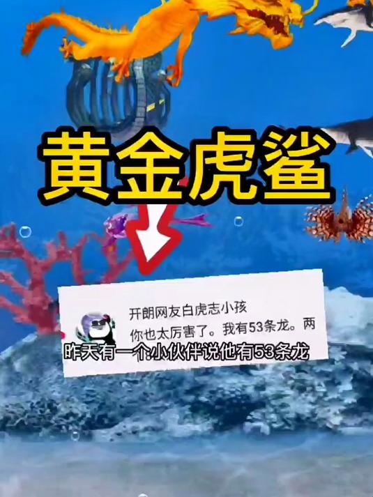 我一次就钓上了一条黄金虎鲨!