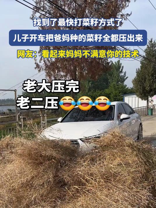 找到了最快打菜籽方式了,儿子开车把爸妈种的菜籽全都压出来