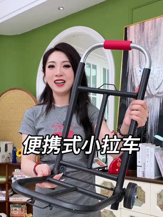便携式小拉车可折叠家用载重拉货手拉车摆摊小推车拉杆买菜购物车