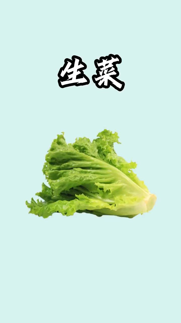 减脂期可以吃生菜吗