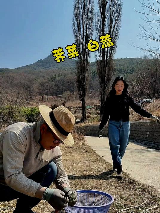 韩国老丈人做的油炸荠菜,配上白蒿鱼汤,荠菜油炸以后真的yyds