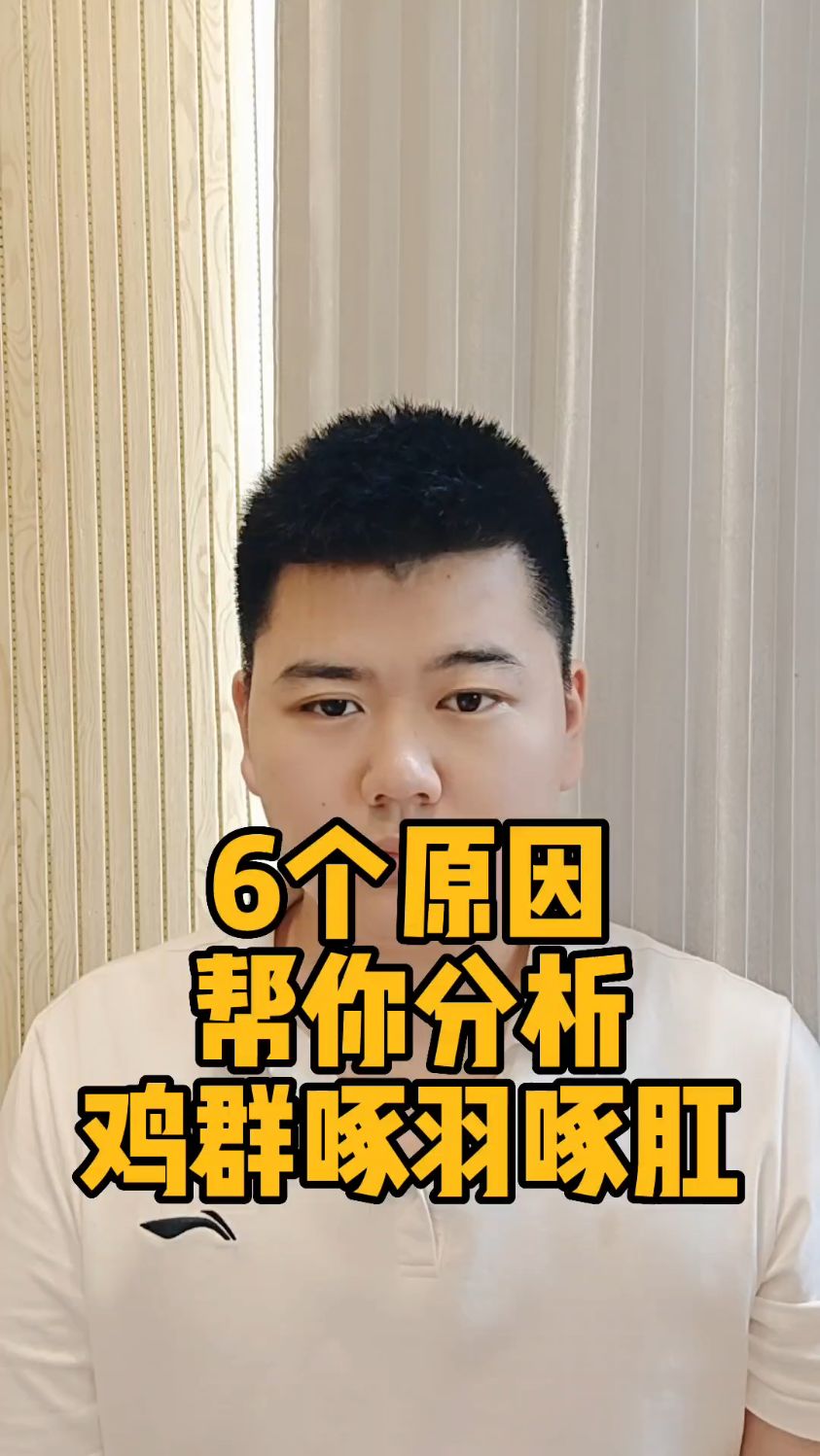 #土公鸡打架怎么防治散养鸡怎么防止公鸡打架散养公鸡打架怎么解决群养鸡打架怎么处理