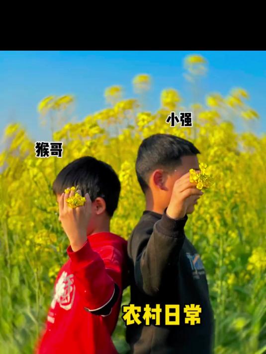 没想到油菜花田这么出片