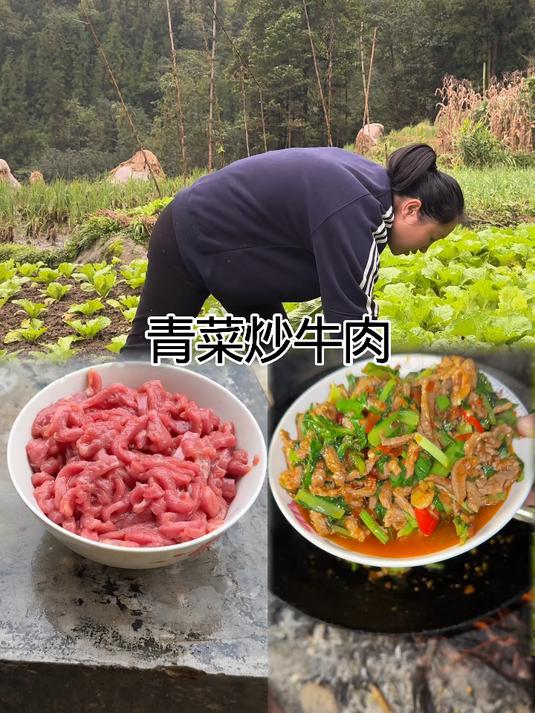 今天我吃青菜牛肉盖饭、牛肉你们喜欢怎么吃呢？