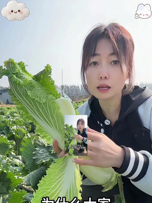 白菜届里面的天花板龙牙菜咋持都好吃!