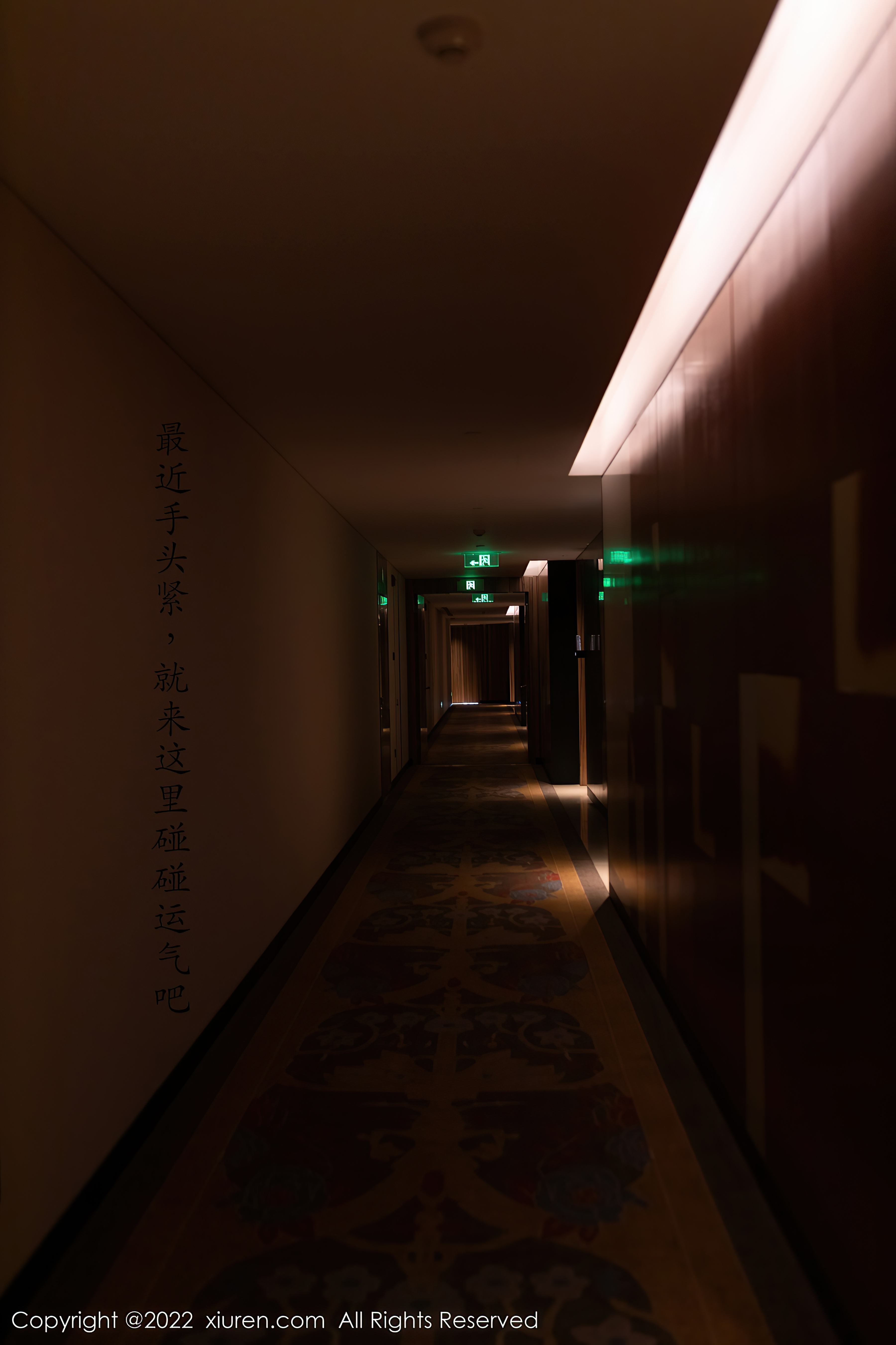 图片[2]-[XIUREN秀人网] 2022.03.01 NO.4652 利世81+1P337M]-六色网