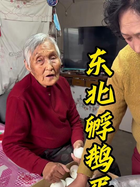 我姥可能是全网唯一一个孵鹅蛋的