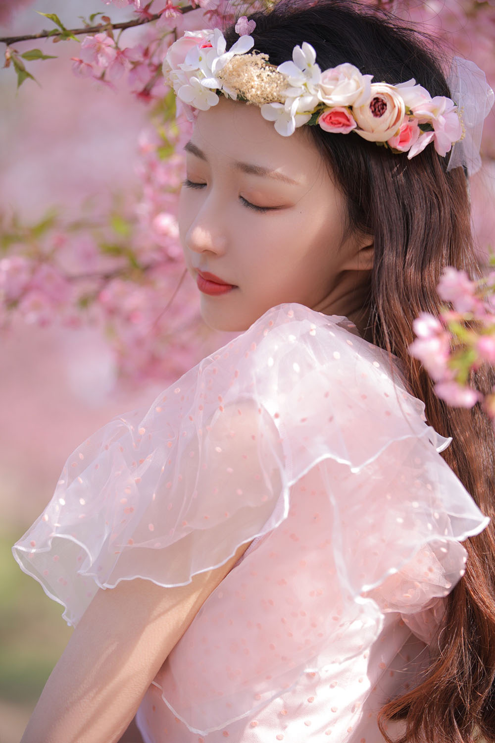 图片[24]-樱花-六色网