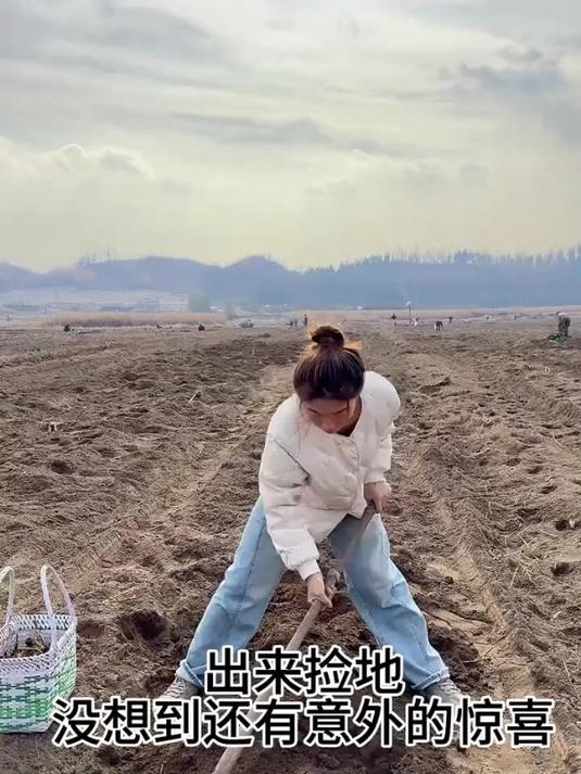 我们这里种了好多年的桔梗收了,今天出去捡地没想到还捡了个钱包