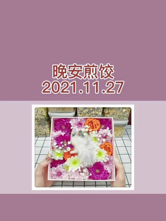 晚安煎饺