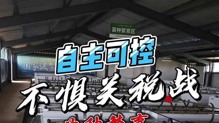 关税战已经白热化了,可喜的是我们鮰鱼苗种牢牢掌握在自己手中
