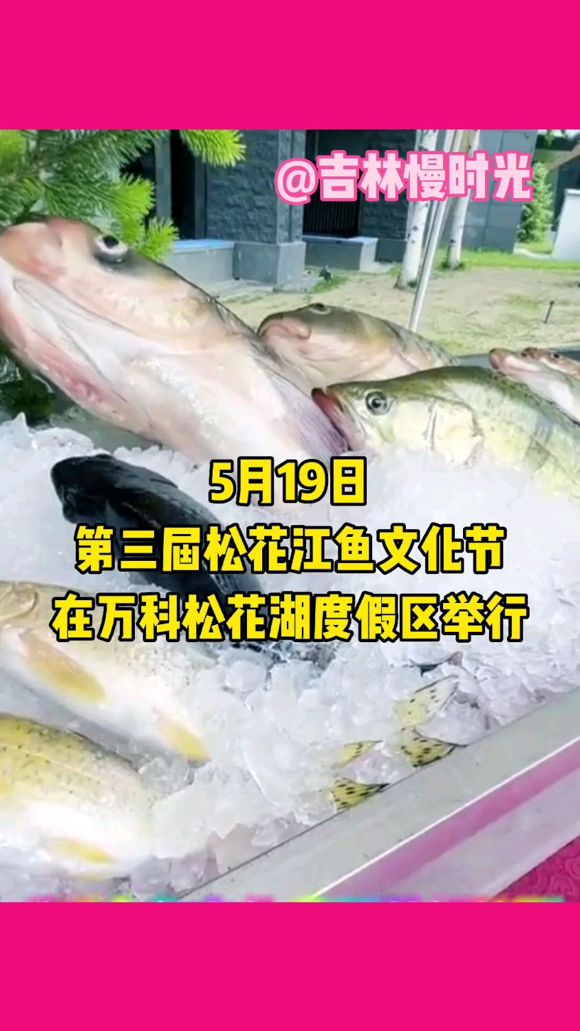 5月19日,第三届松花江鱼文化节开幕啦!