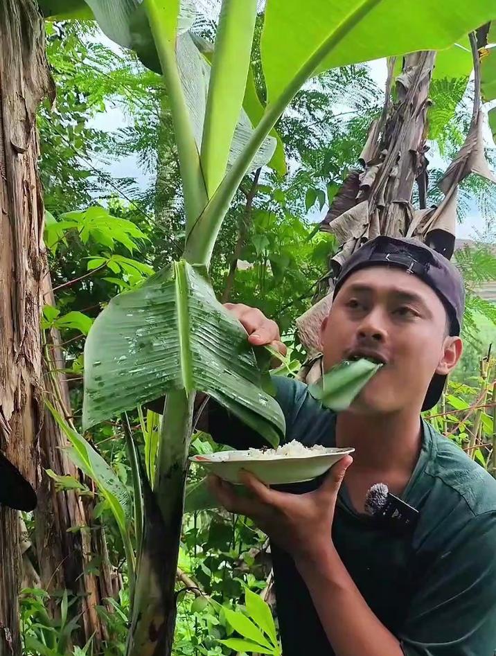 国外都是如何花式生吃蔬菜和绿色植物的,东南亚这种吃法真不多见