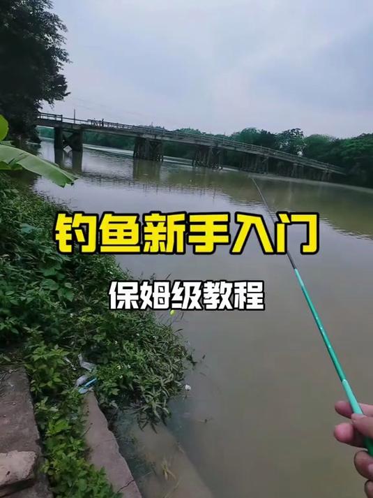 新手钓鱼入门，保姆级教学！