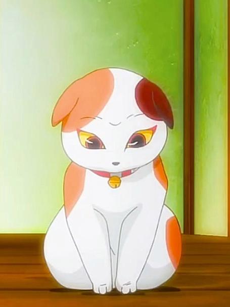 村里来了一只恐怖的猫咪