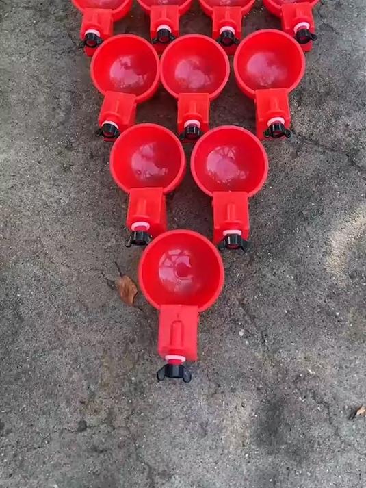 不用电的自动饮水器!家禽喝水全自动,30天不用管,养殖真轻松!