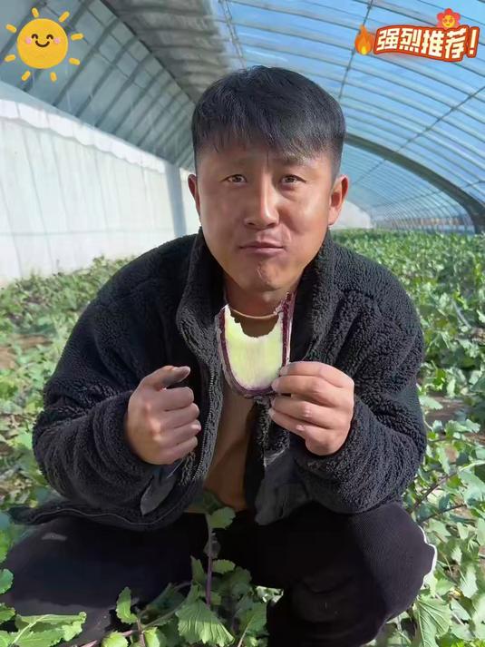俗话说冬吃萝卜夏吃姜,这个紫色冰淇淋水果萝卜,脆甜爽口