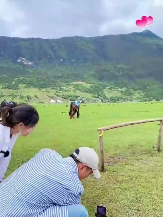 秋游必备自拍神器,八爪鱼实用技巧来啦