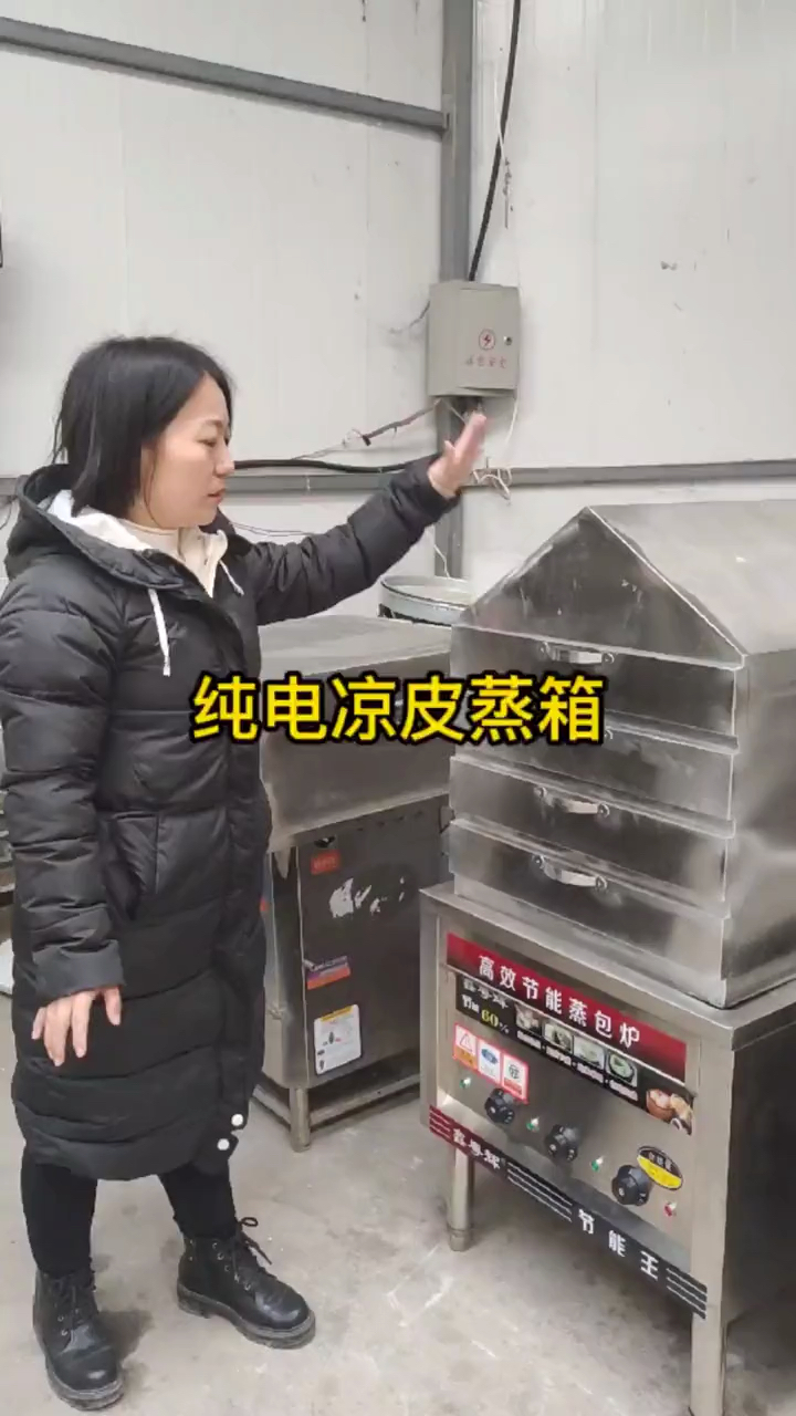 乐世博纯电凉皮蒸箱 家用两相220v电即可使用 四层不锈钢蒸箱凉皮机 保温性能好 凉皮机