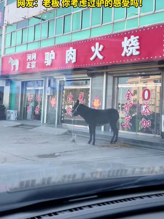 老板 这是为了证明店里是正宗的驴肉？