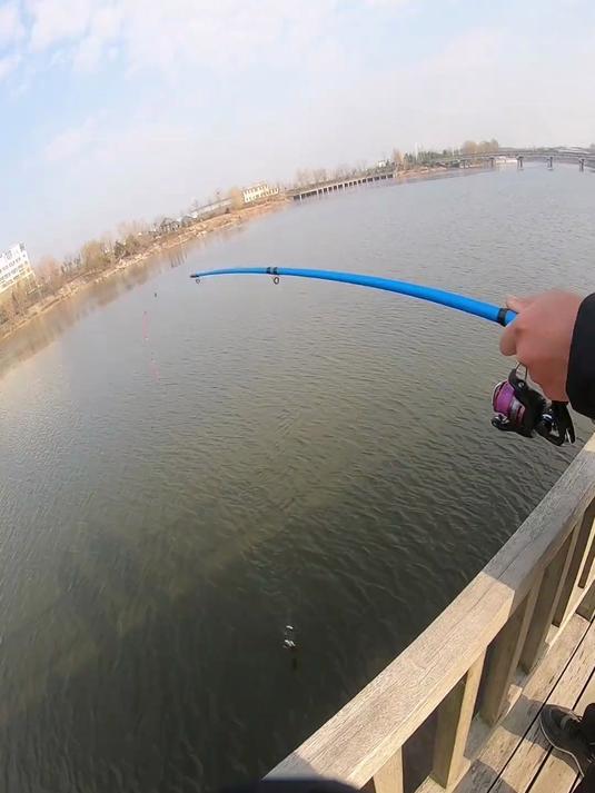冬季钓鲫鱼,串钩远投绝对是首选,大板鲫太漂亮了