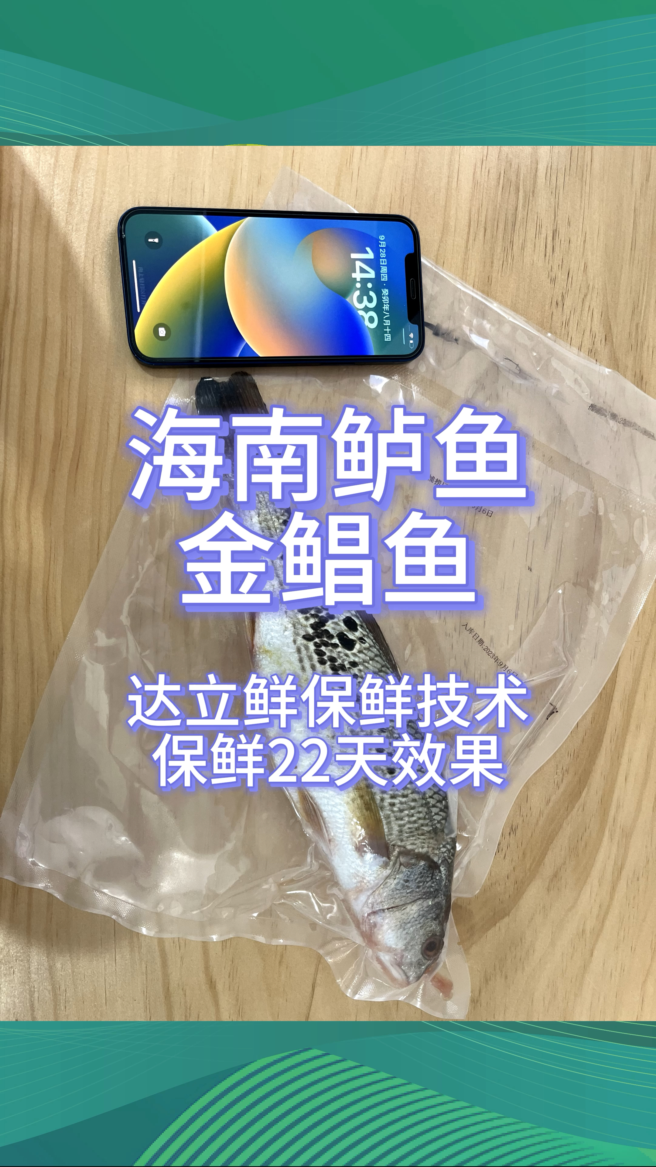 海南金鲳鱼、鲈鱼达立鲜保鲜技术保鲜22天效果