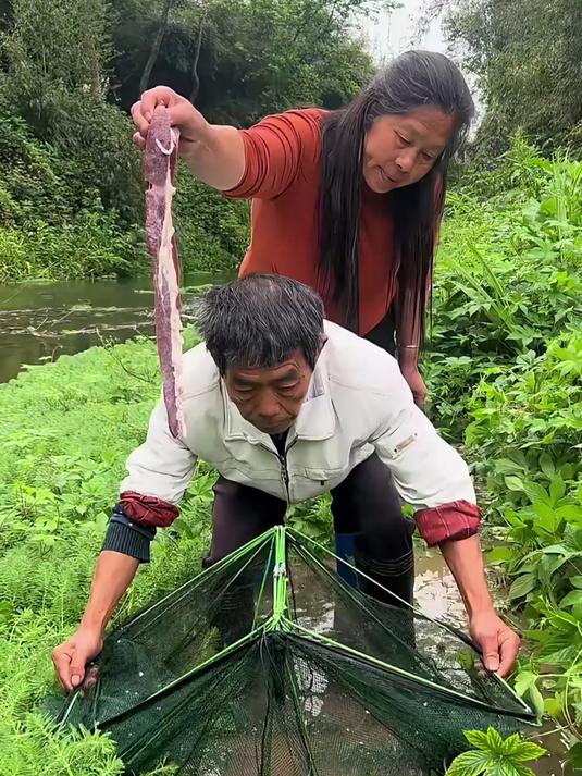 「10件套」捕鱼网笼折叠虾笼渔网地网鱼笼抓鱼黄鳝龙虾网笼