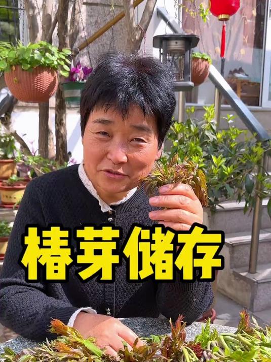千秋椿头茬香椿酱,鲜香不咸口感嫩,山东特产居家下饭神器#香椿酱##好物推荐#