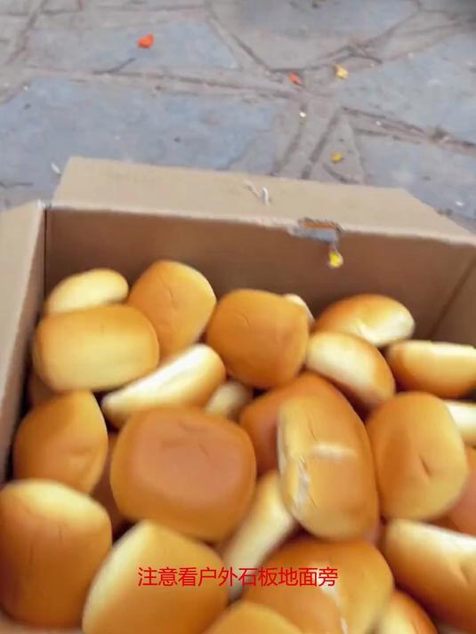 猴子们秒吃面包?神奇动物在抖音