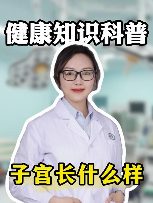 子宫长什么样