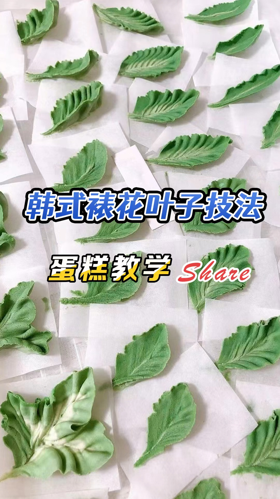 超详细教程,常用韩式裱花叶子挤法教程