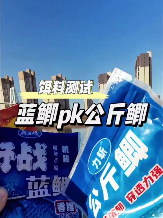 冬季野钓鲫鱼饵料单开谁好用？