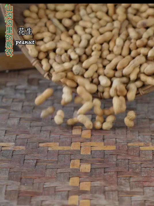传统广式五仁月饼