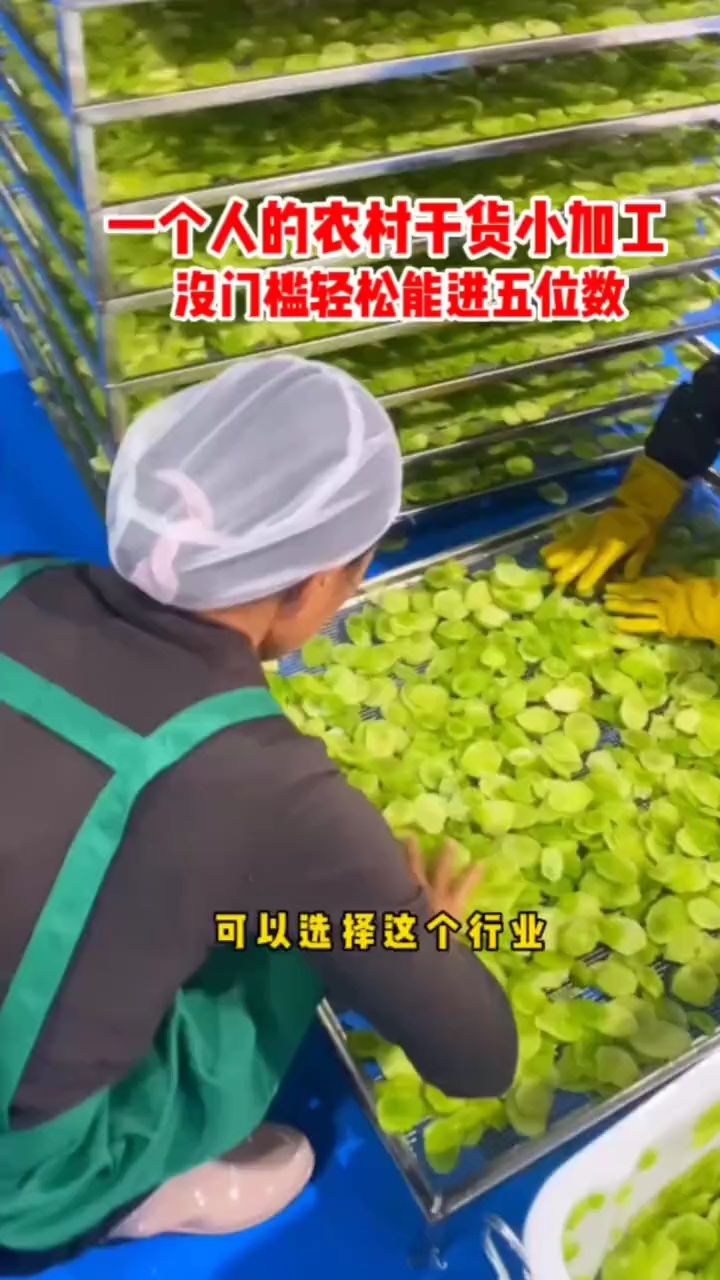 蔬菜烘干机,干菜烘干机,辣椒烘干机
