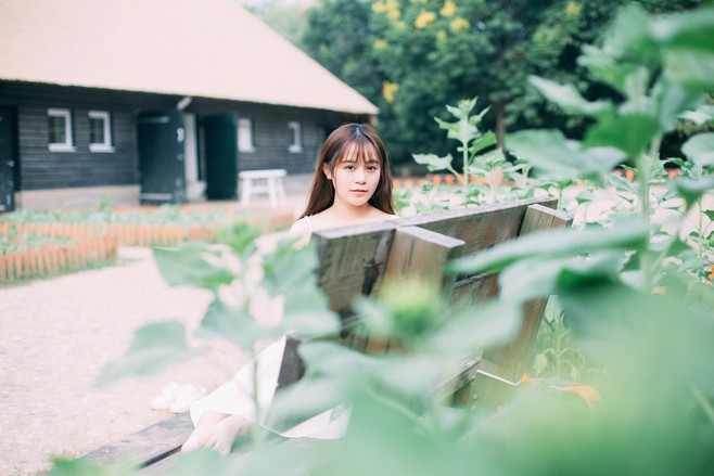 图片[4]-奶牛花与少女-六色网