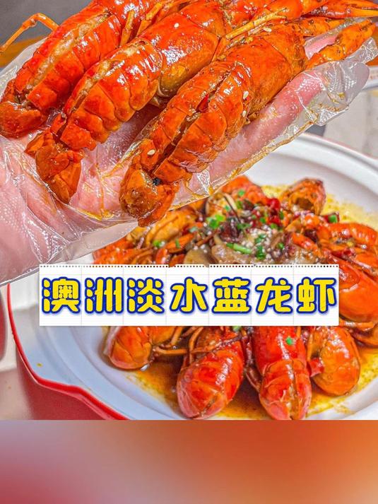 澳洲淡水蓝龙虾