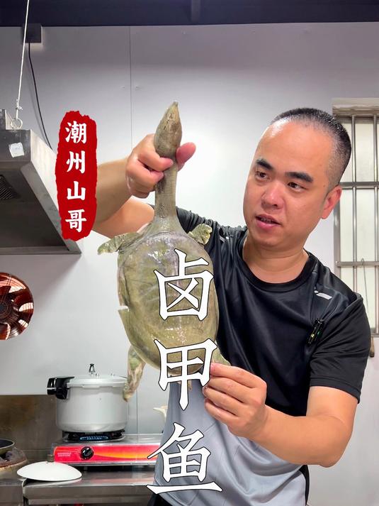 卤水甲鱼做法，在潮汕，万物皆可做卤水
