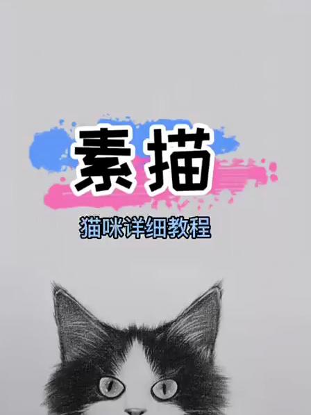 猫咪详细画法 一招教你处理动物毛发 零基础学画画 素描动物