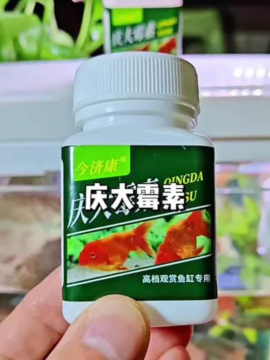 庆大霉素能治多种鱼病 新手养鱼必知 经验分享