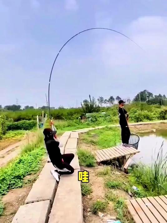 邓老师推荐千川鲤战龙鱼竿钓鱼竿超轻超硬19调黑坑台钓竿大物竿