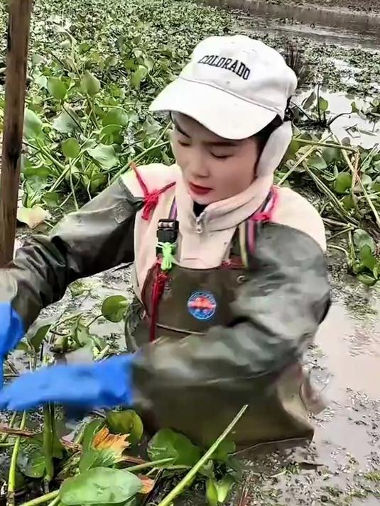 徒手捉鳖 捉鱼摸虾