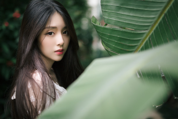 图片[4]-夏绿-六色网