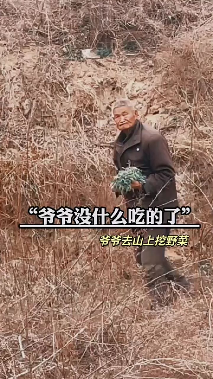 爷爷 爷爷没什么吃的了 爷爷就去山上挖野菜 爷爷把野菜择洗干净